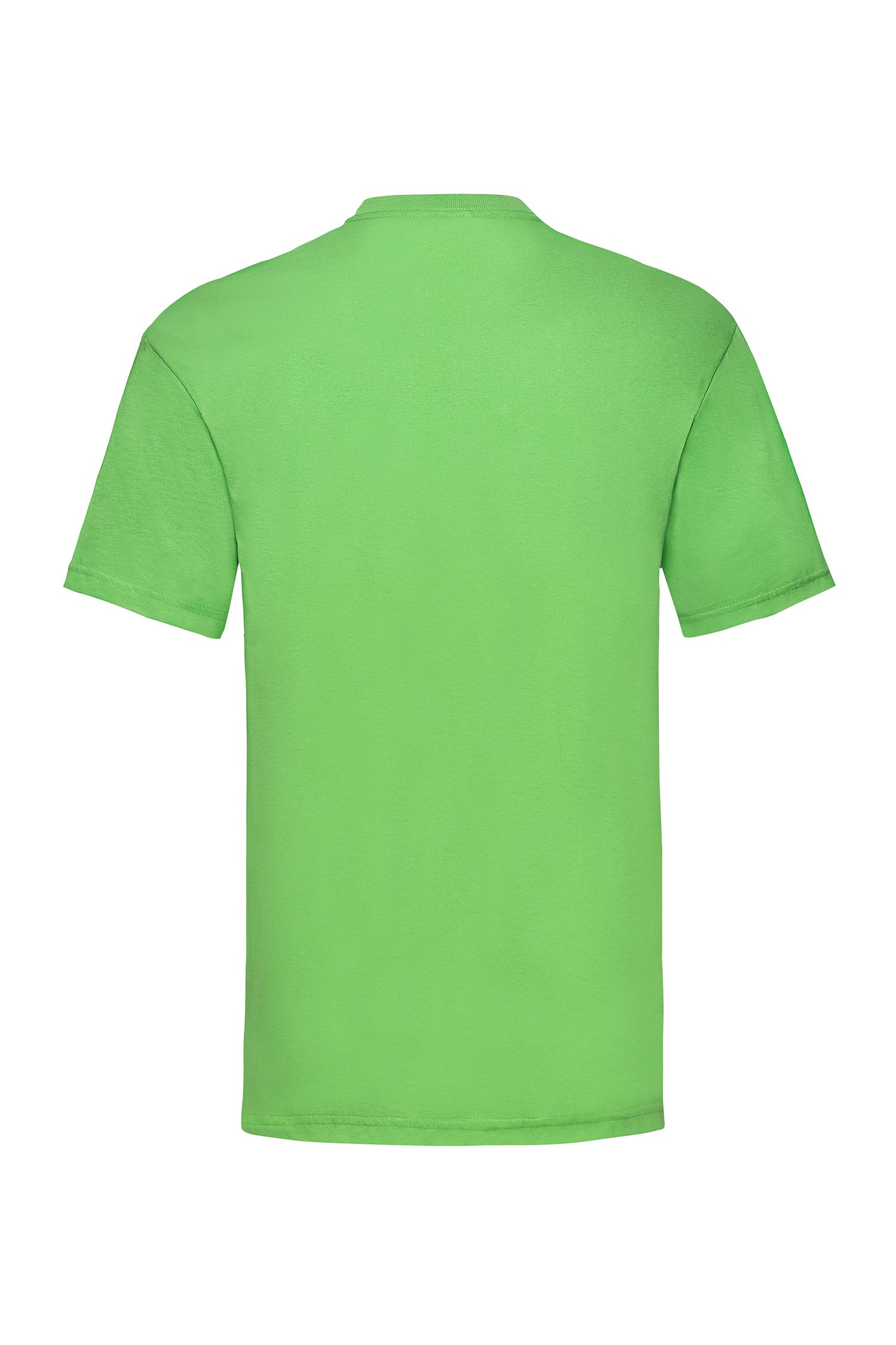 Basic T-paita