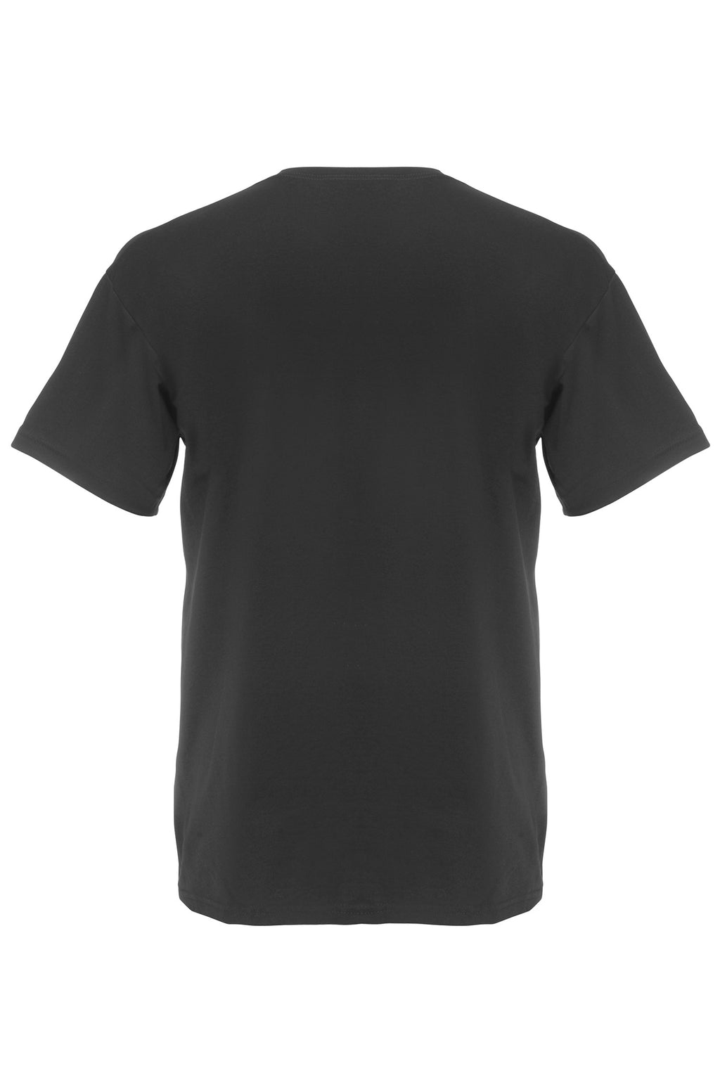 Basic T-paita