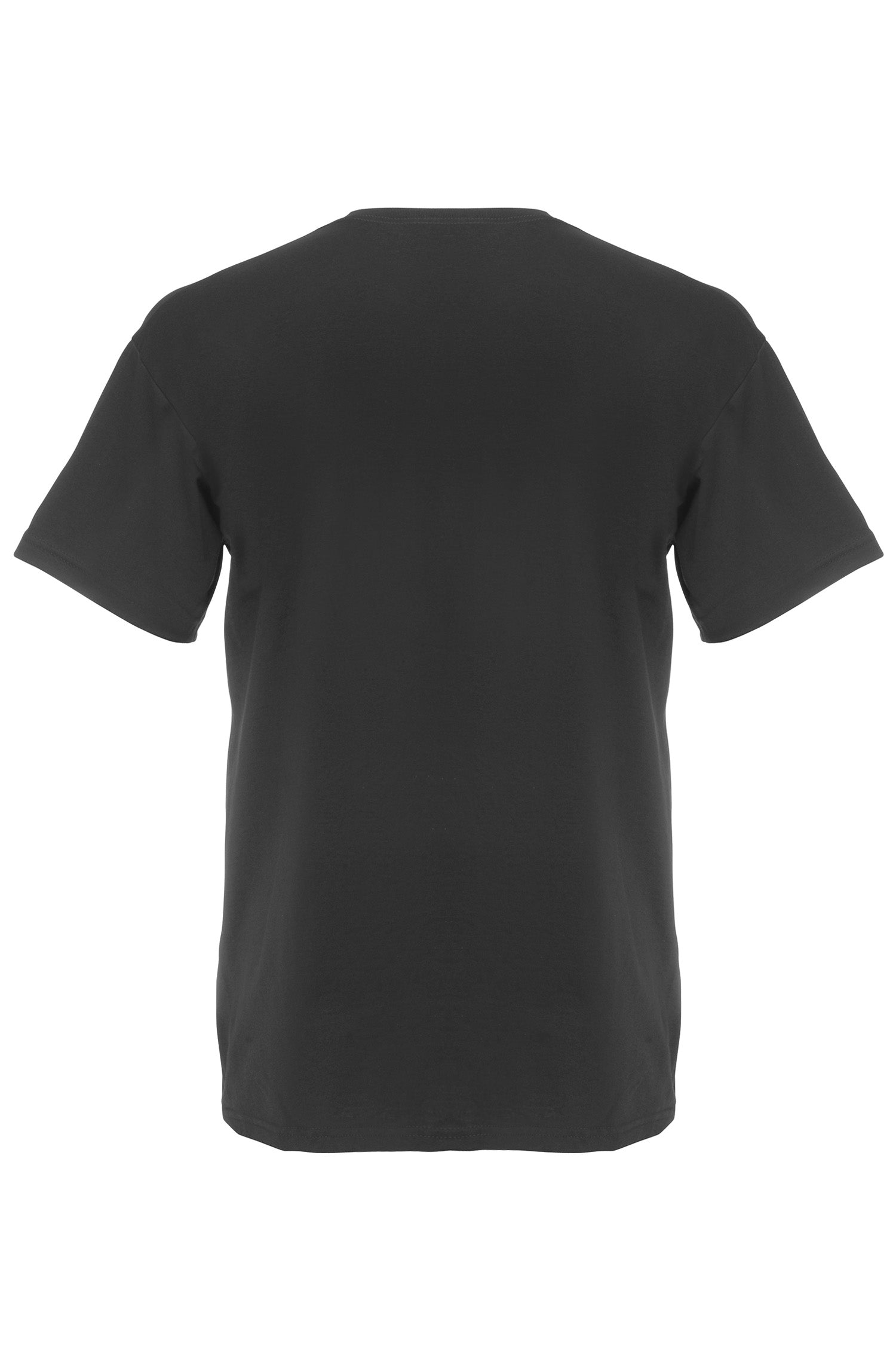 Basic T-paita
