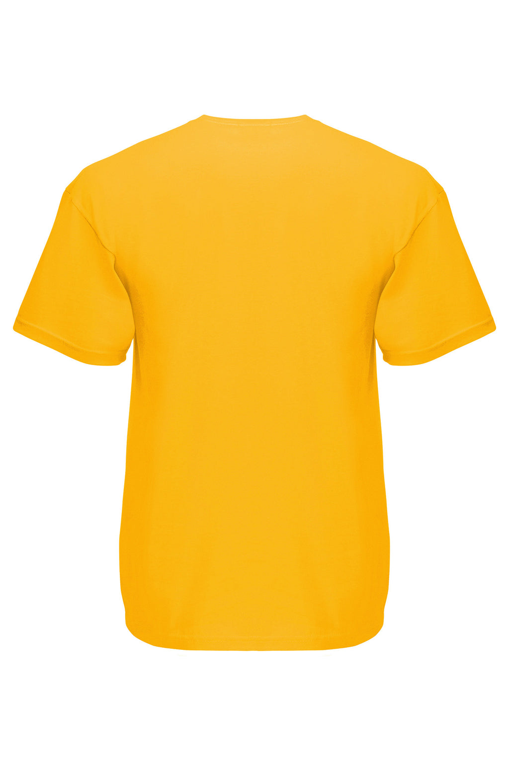 Basic T-paita