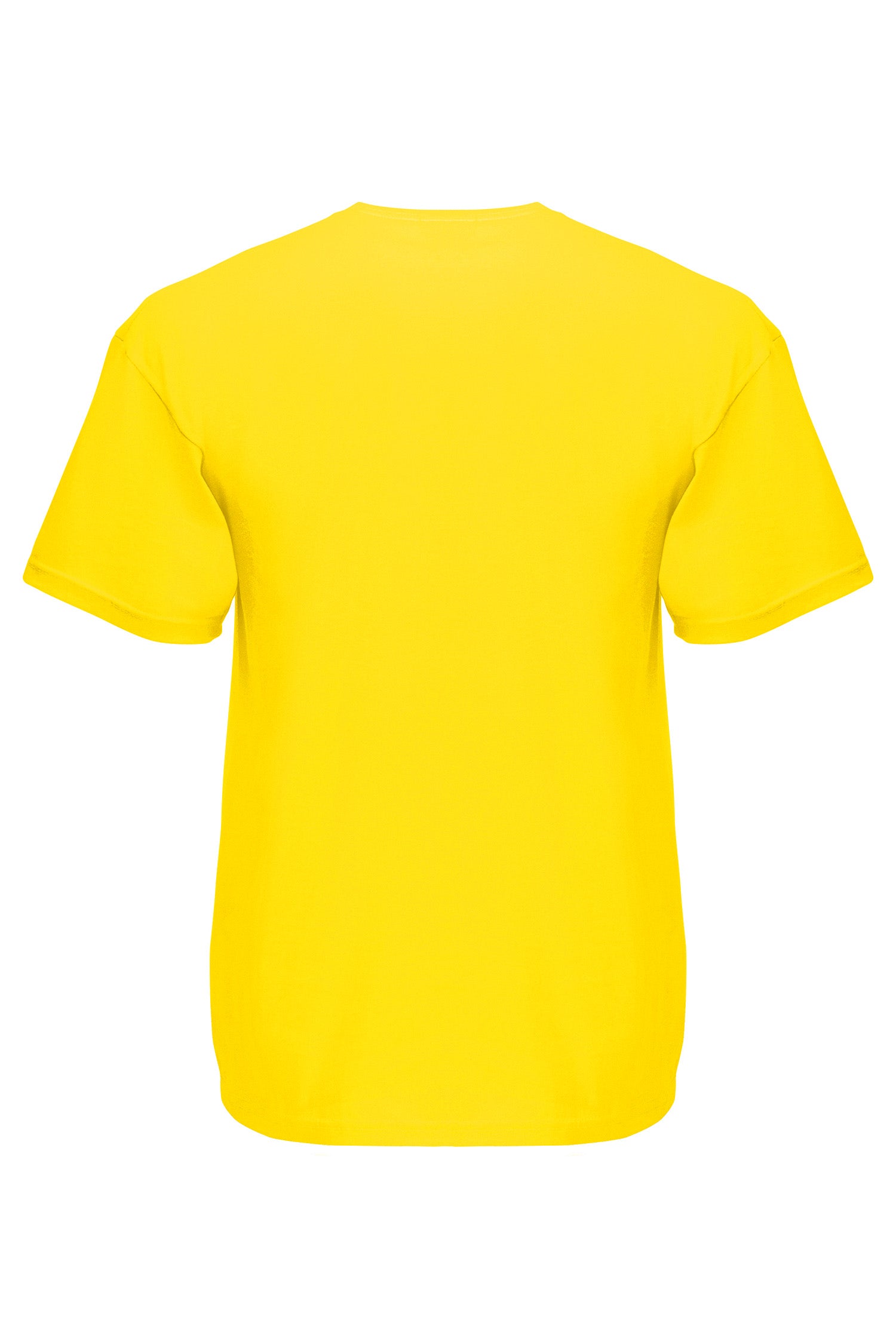 Basic T-paita